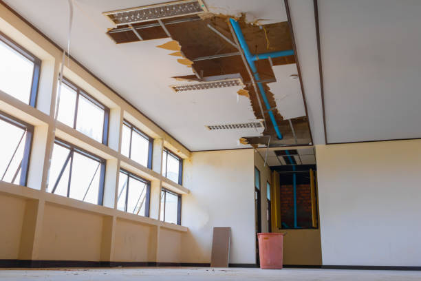 Best Mold removal after water damage  in South Connellsville, PA