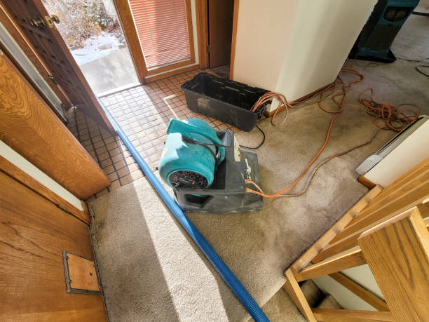 Best Sewage cleanup and water damage restoration  in South Connellsville, PA