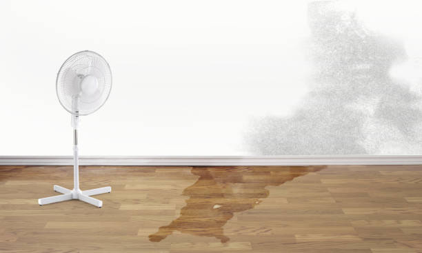 Best Basement water damage restoration  in South Connellsville, PA