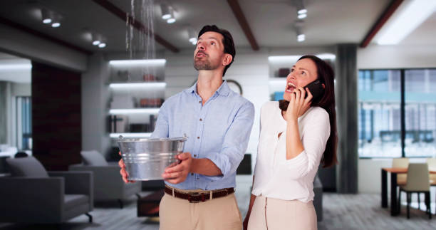 Best Flood damage cleanup  in South Connellsville, PA